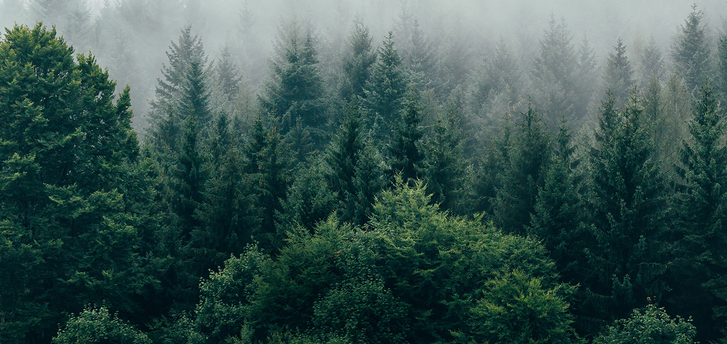 Eko-paczka to nie tylko moda. Jak ekologiczne opakowania wysyłkowe zmieniają e-handel?